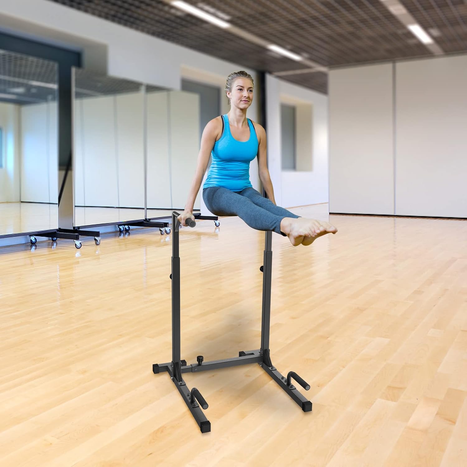 Home Gym Equipment Metal Push- - Dip Bar Parallel のレビューと価格