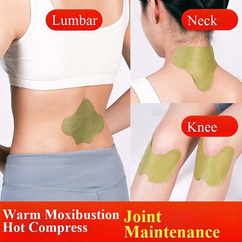 100pcs Wormwood Lumbar Patches - Yoga Health & Fitness Center のレビューと価格